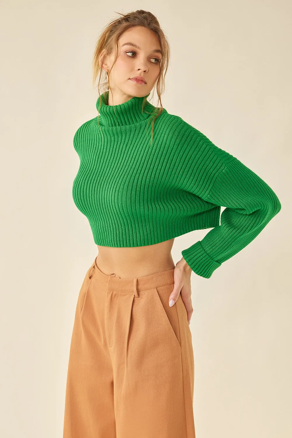 Bute Crop Turtleneck