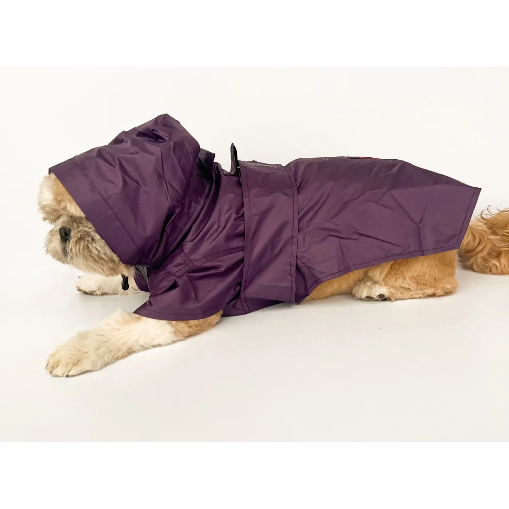 Pawgypets Raincoat for Dogs and Cats (Purple)