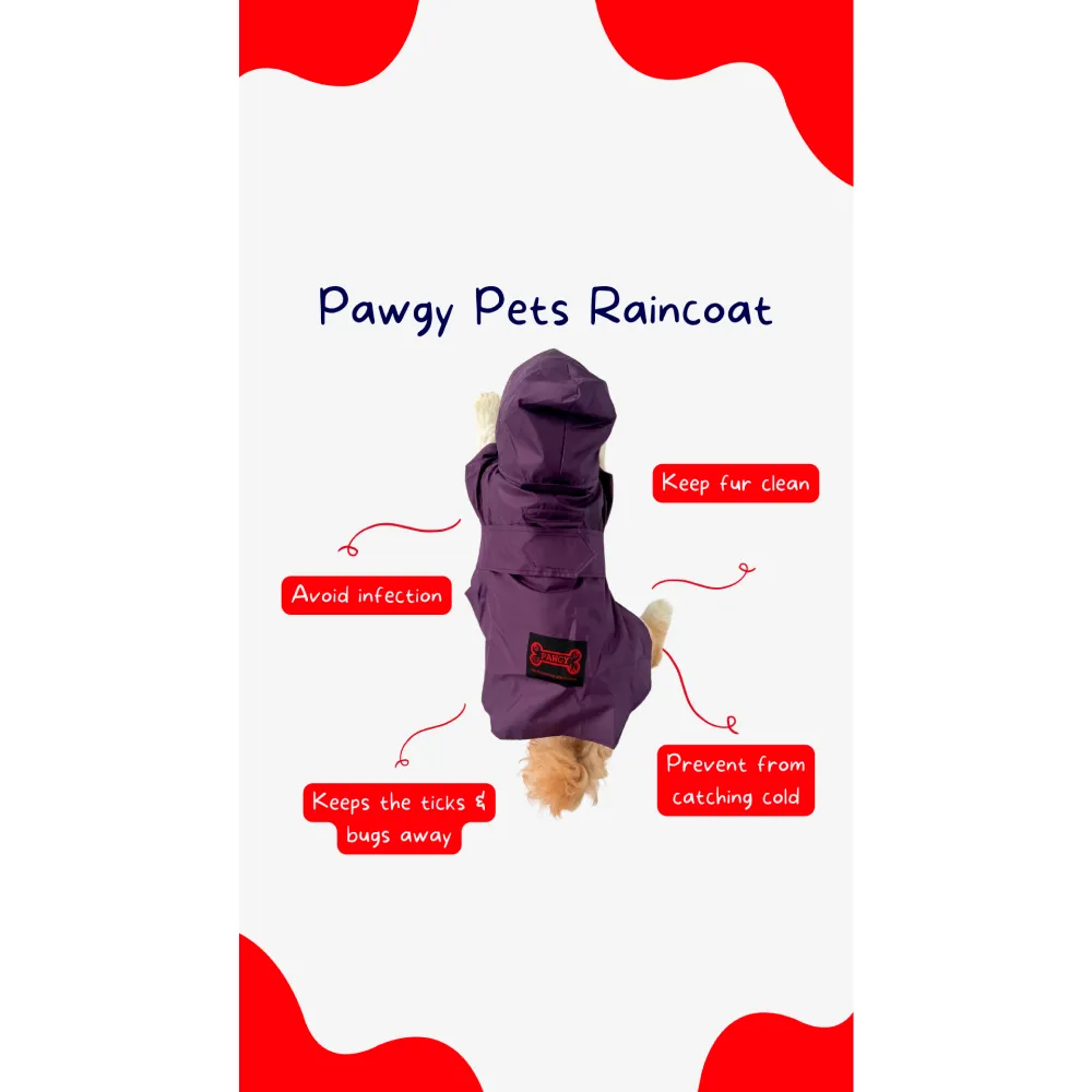 Pawgypets Raincoat for Dogs and Cats (Purple)