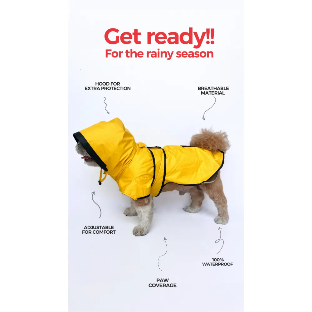 Pawgypets Raincoat for Dogs and Cats (Yellow Taxi)