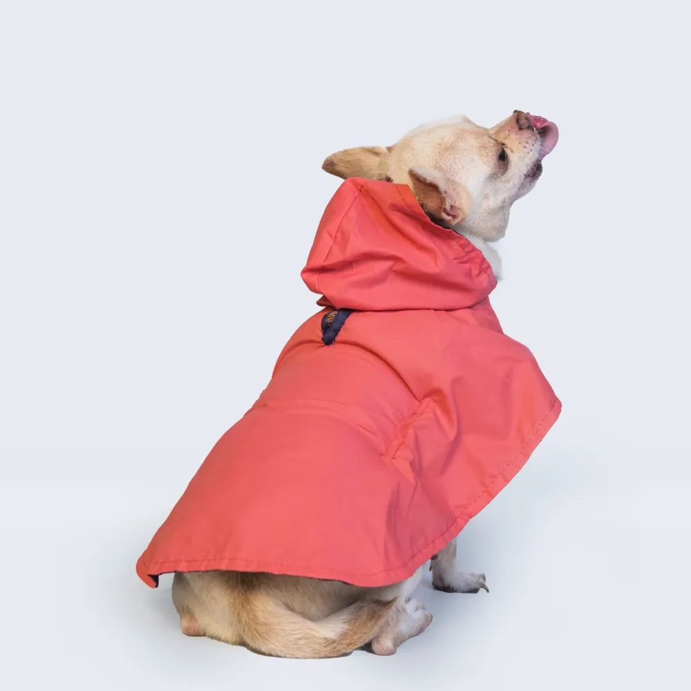 Pet Set Go Cape Style Raincoat for Dogs (Red)