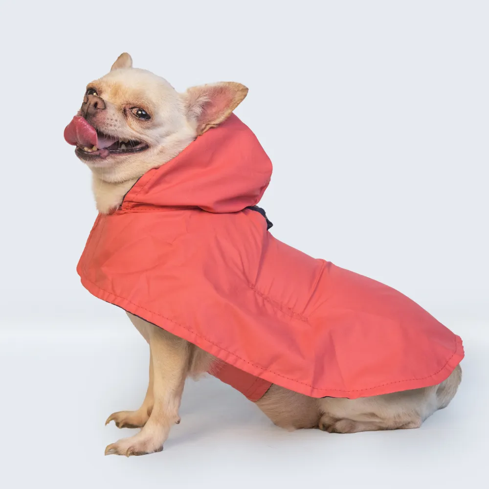 Pet Set Go Cape Style Raincoat for Dogs (Red)