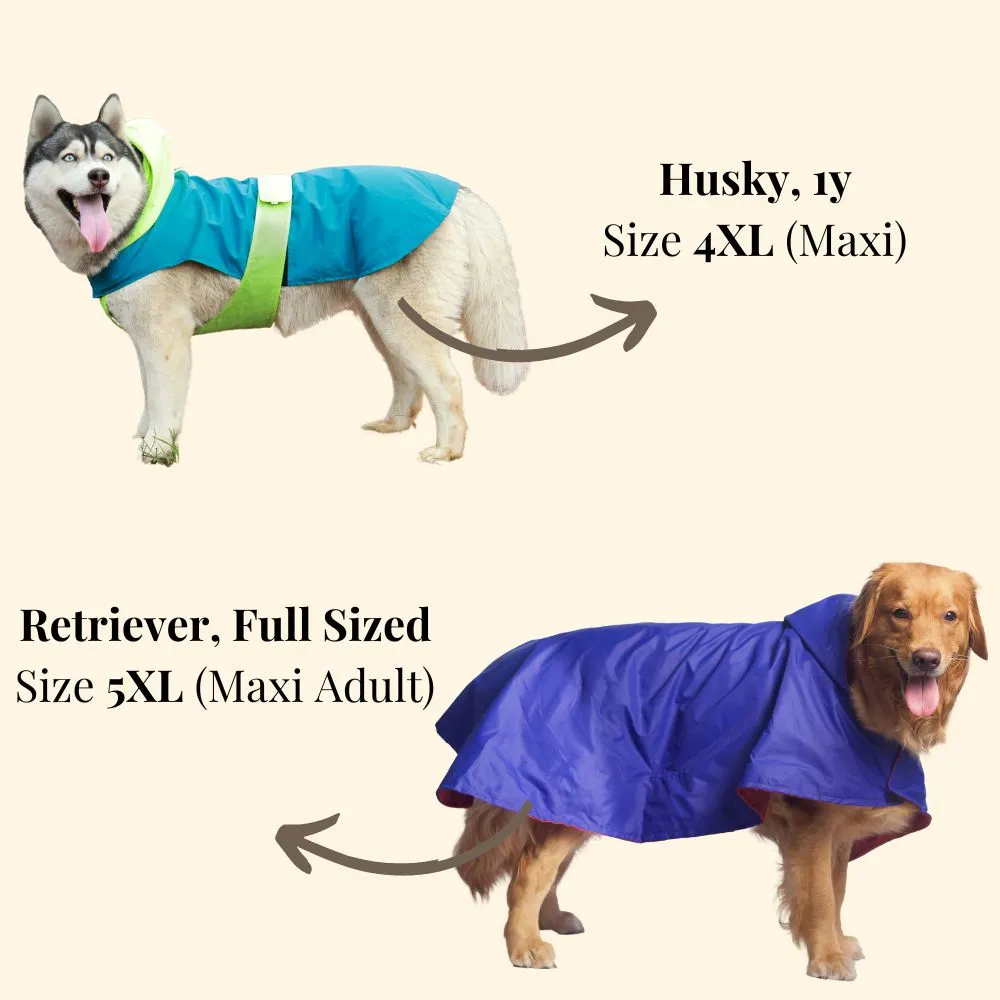 Pet Set Go Splash Waterproof Raincoat for Dogs (Aqua Pink)