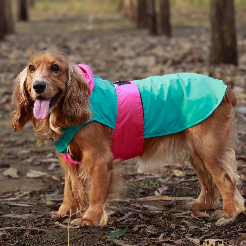 Pet Set Go Splash Waterproof Raincoat for Dogs (Aqua Pink)