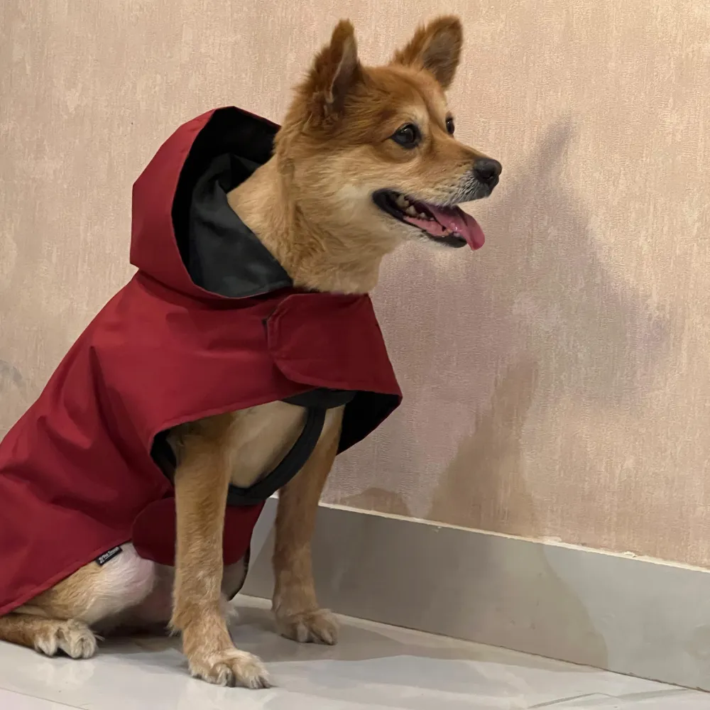 Petsnugs 100% Waterproof Raincoat for Dogs and Cats (Maroon)